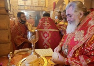 Епископ Мстислав совершил Божественную Литургию на станции Сологубовка -05.02.2023