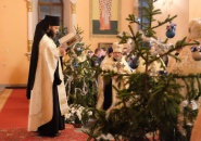 Рождественская великая вечерня в Преображенском кафедральном соборе города Тихвина